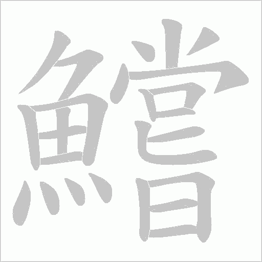 鱨的筆順動畫演示