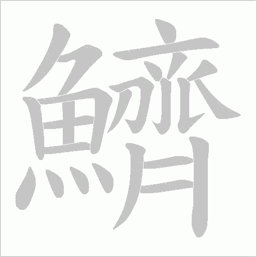 鱭的筆順動畫演示