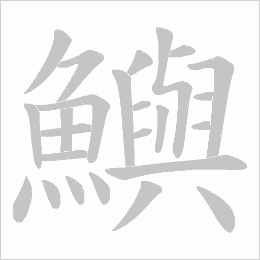 鱮的筆順動畫演示