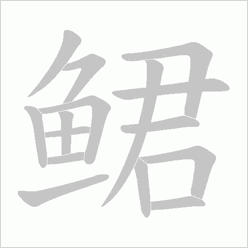 鲪的筆順動畫演示