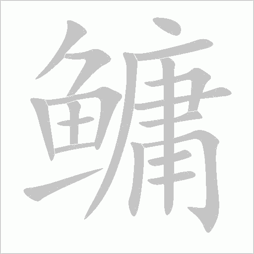 鳙的筆順動畫演示