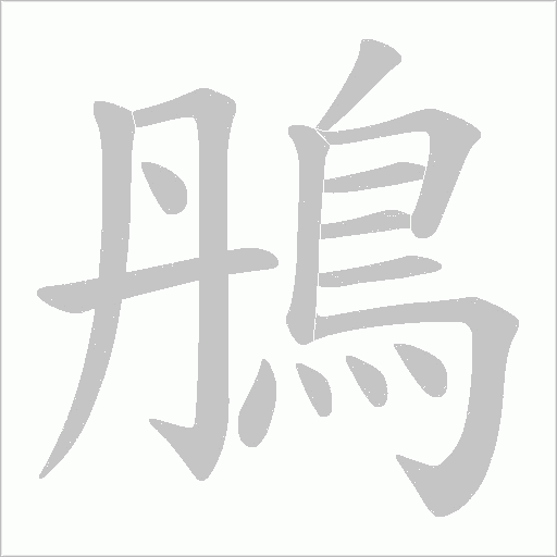 鴅的筆順動畫演示