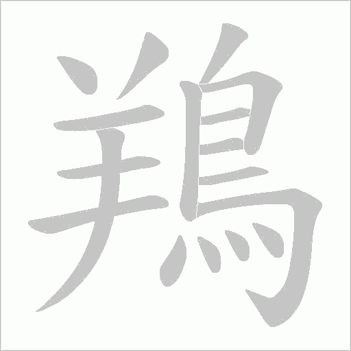 鴹的筆順動畫演示