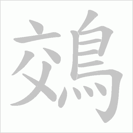 鵁的筆順動(dòng)畫(huà)演示