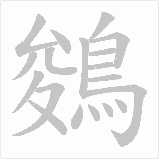 鵕的筆順動畫演示