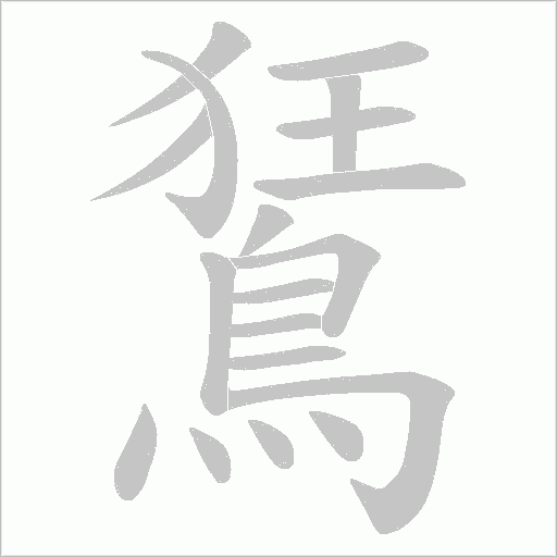 鵟的筆順動畫演示