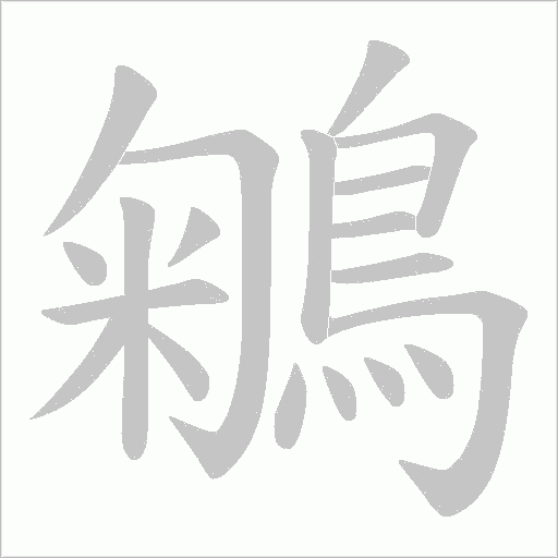 鵴的筆順動畫演示