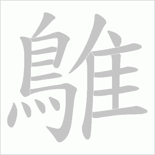 鵻的筆順動畫演示