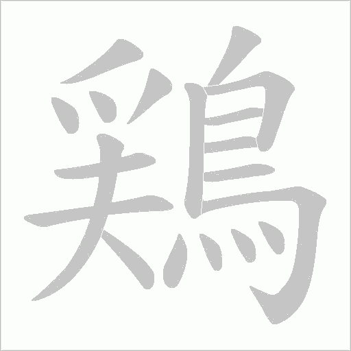 鶏的筆順動畫演示