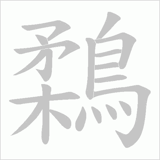 鶔的筆順動畫演示