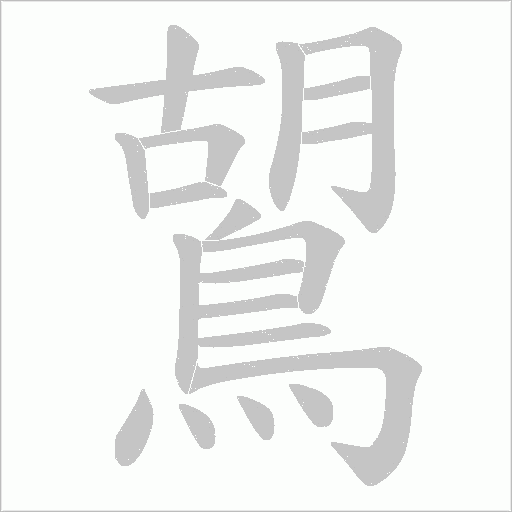 鶦的筆順動畫演示