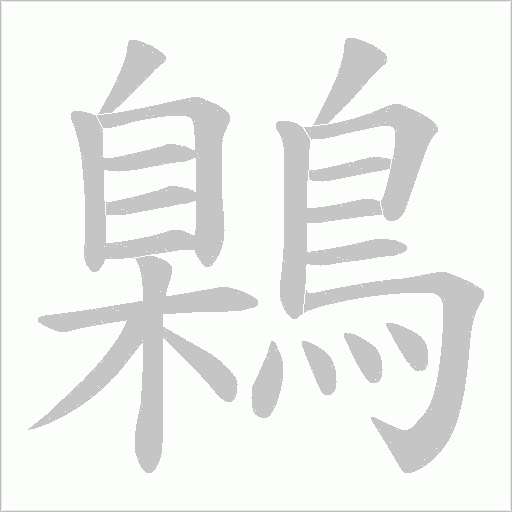 鷍的筆順動畫演示