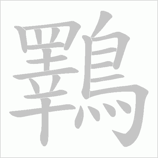 鸅的筆順動畫演示