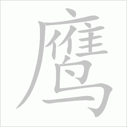 鷹的筆順動畫演示