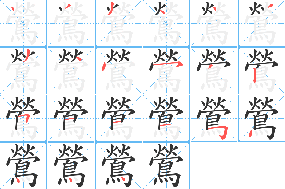 鶯的筆順分步演示