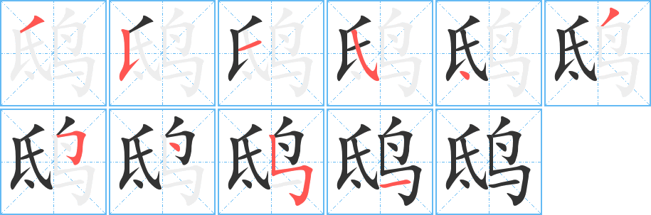 鴟的筆順?lè)植窖菔?><hr /><h2>鴟的基本信息</h2><div   id=
