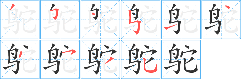 鴕的筆順?lè)植窖菔?><hr /><h2>鴕的基本信息</h2><div   id=