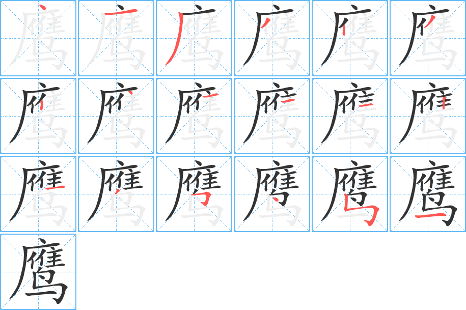 鷹的筆順分步演示