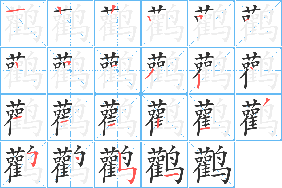 鸛的筆順?lè)植窖菔?><hr /><h2>鸛的基本信息</h2><div   id=